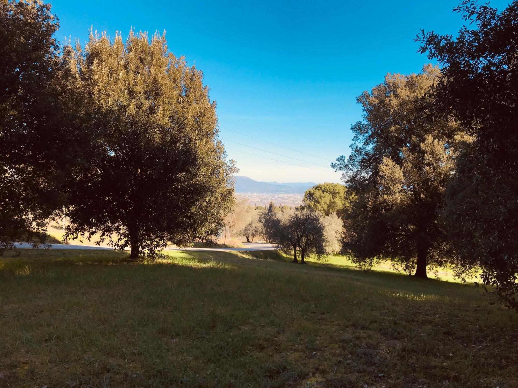 Apartamento La Residenza Dei Piaceri Perduti- Le Volte Lastra a Signa Exterior foto